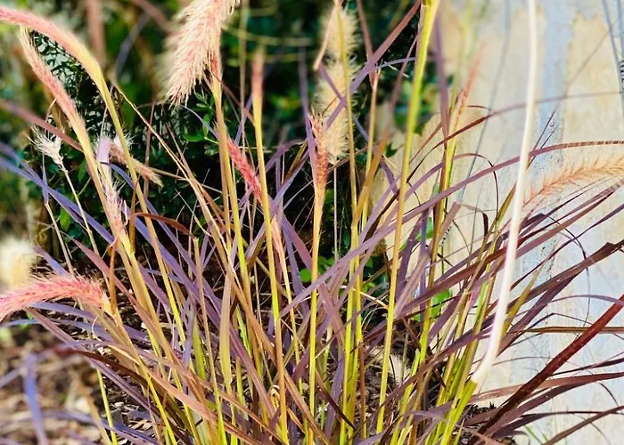 Feriehus By Interhome Bilice